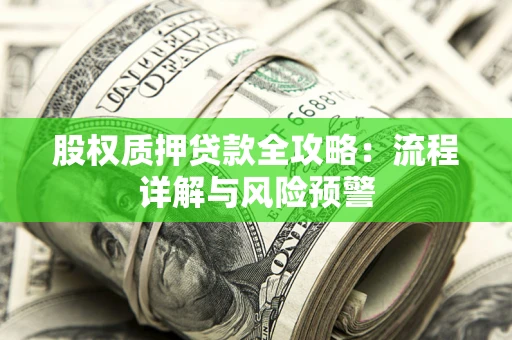 武汉股权质押贷款全攻略：流程详解与风险预警
