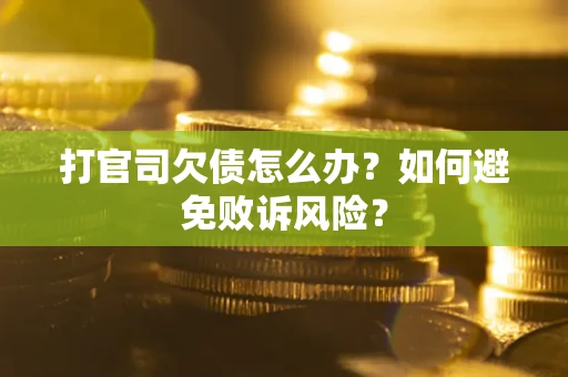 武汉打官司欠债怎么办？如何避免败诉风险？