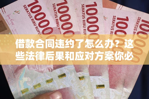 武汉借款合同违约了怎么办？这些法律后果和应对方案你必须知道
