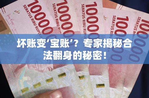 武汉坏账变‘宝账’？专家揭秘合法翻身的秘密！