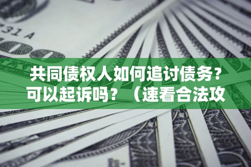 武汉共同债权人如何追讨债务？可以起诉吗？（速看合法攻略）